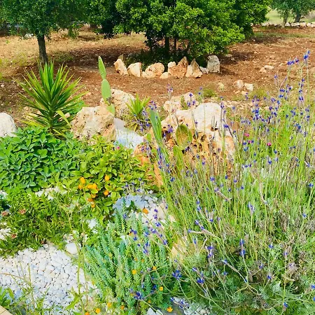 Holiday home New Shepherd House, Carovigno, 2 Adults + 1 Child Carovigno